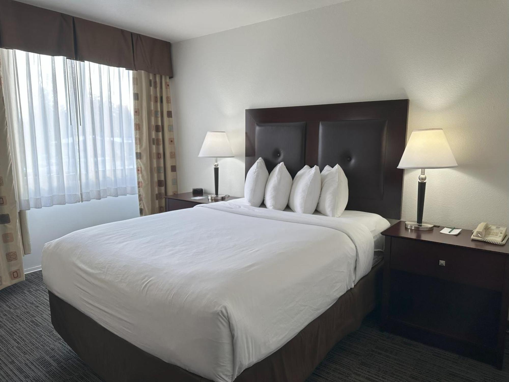 Quality Inn & Suites Everett Dış mekan fotoğraf